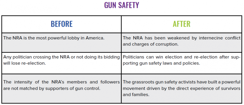 Gun control cases best sale