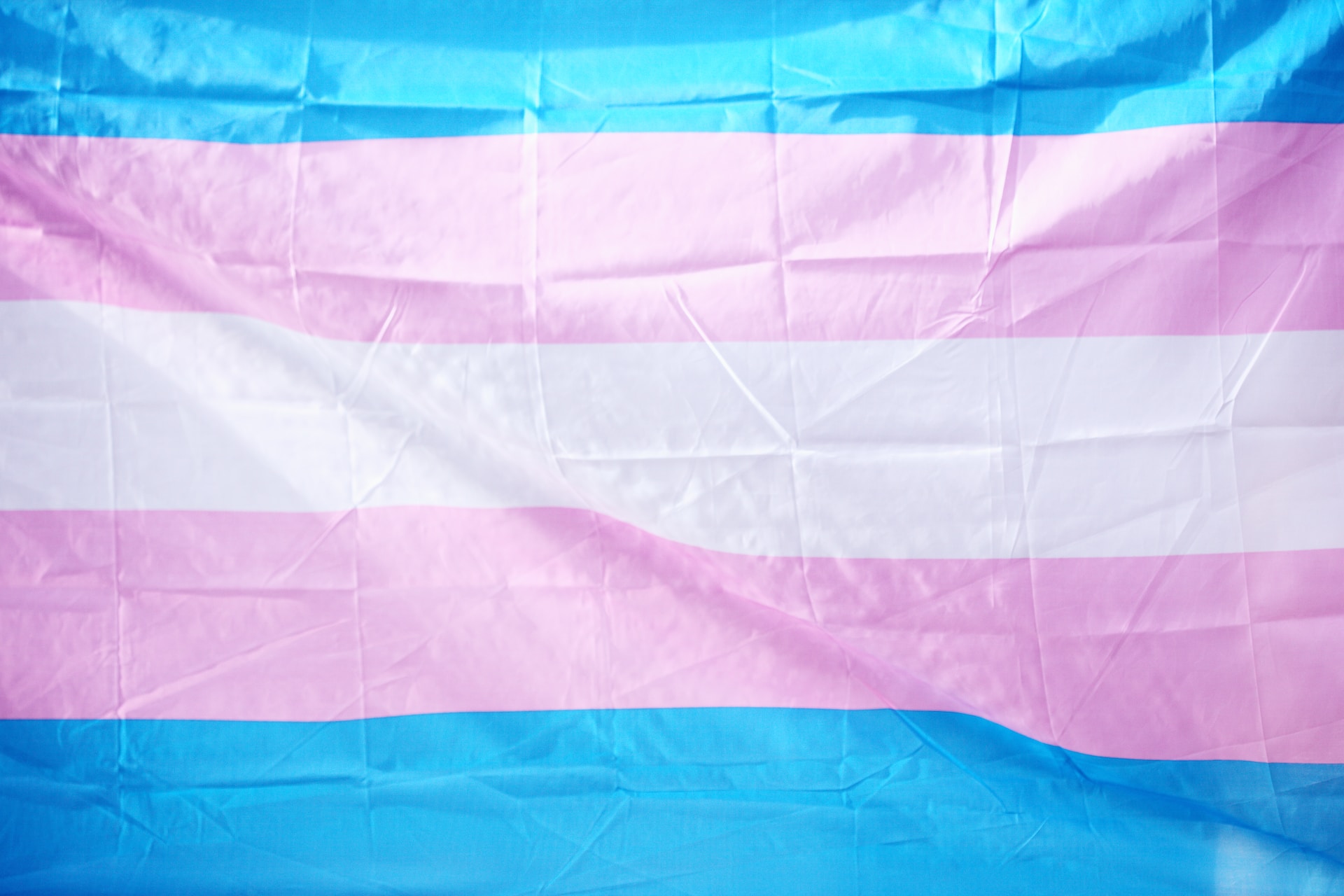 Transgender Day of Remembrance / Resilience
